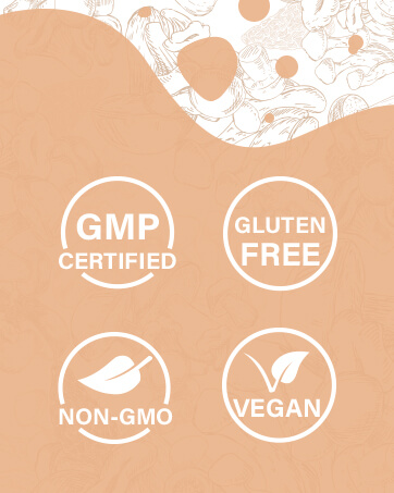 mushroom supplement lions mane supplement capsules lions mane supplement