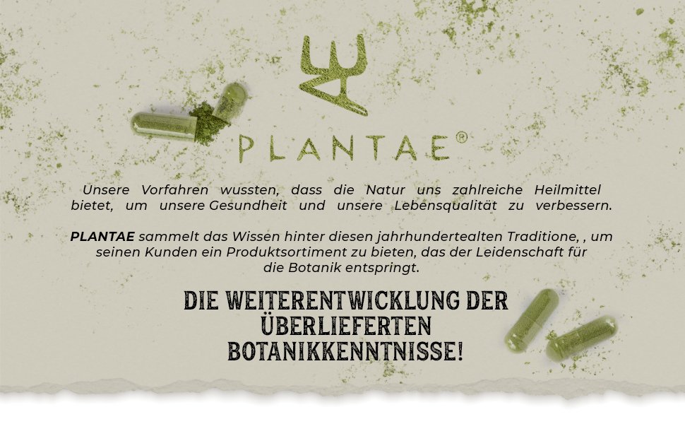 plantae