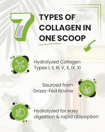 7 types of collagen in one scoop