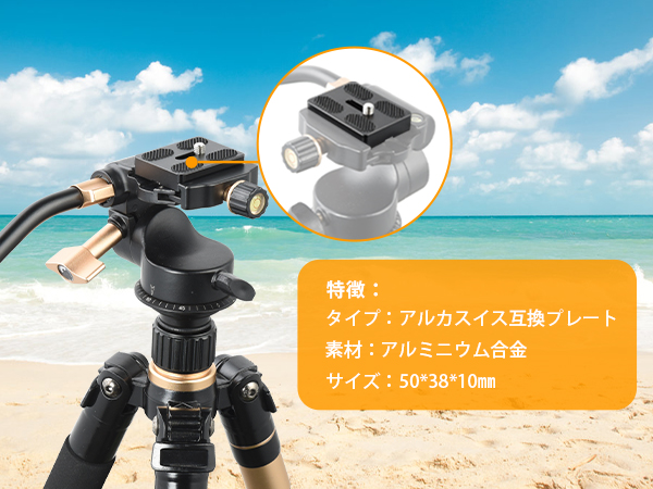 プレート複数 マルチマウントバー FE FORZA（'18～'23）｜株式会社デイトナ