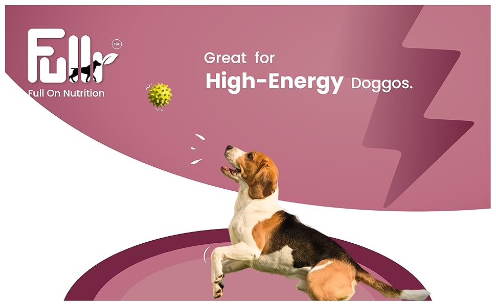 dog biscuits, dog treats, heathy dog treats, healthy dog biscuits , adult dog biscuits , fullr