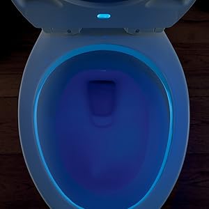Amazon.com: Delta Faucet Sanborne Elongated Nightlight