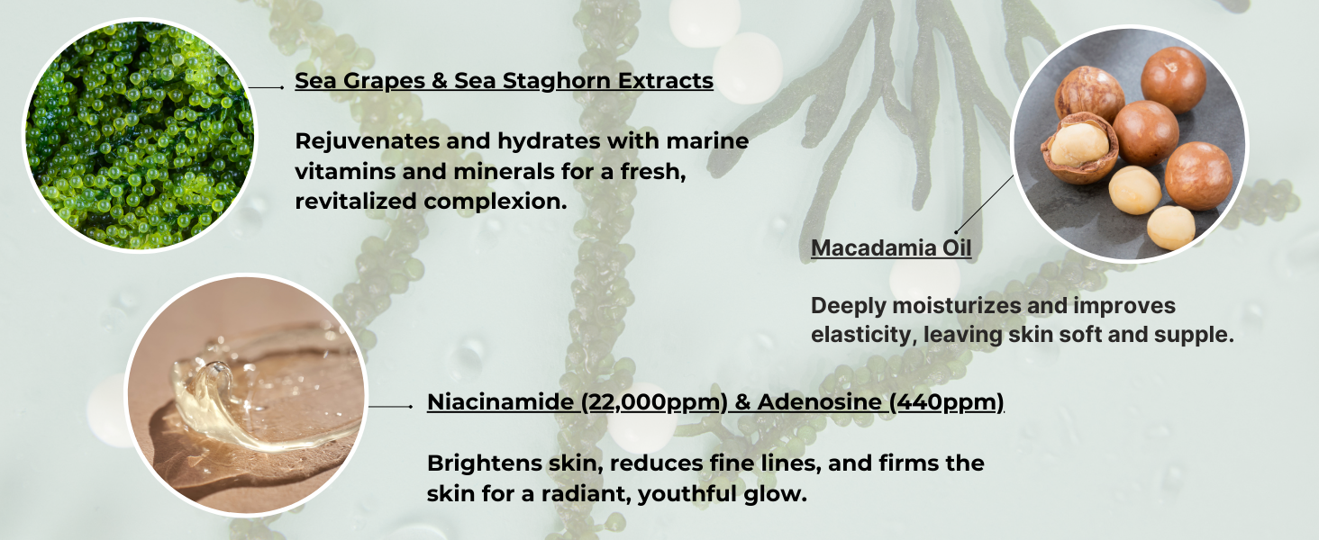 solid serum key ingredients