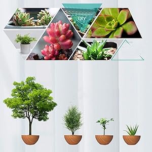 levitating plant pot magnetic,magnetic floating plant,hovering plant,magnetic floating plant