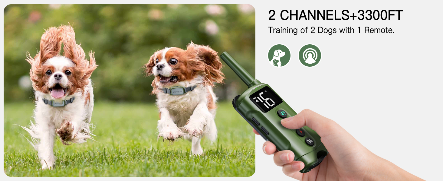 Waterproof Dog Training Collar with Remote