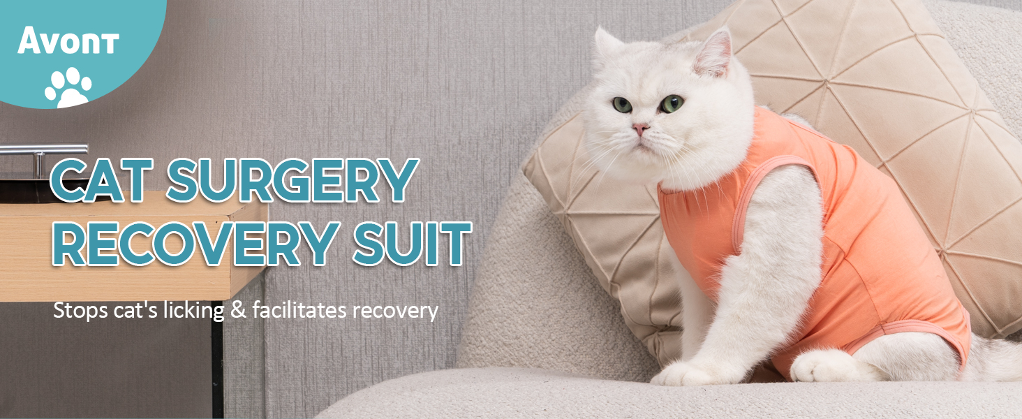 un gatto bianco che indossa un gilet seduto su un divano.