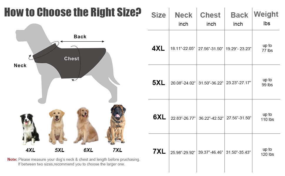 MDD22108 Dog Raincoat Orage 06