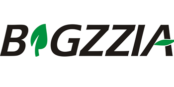bigzzia