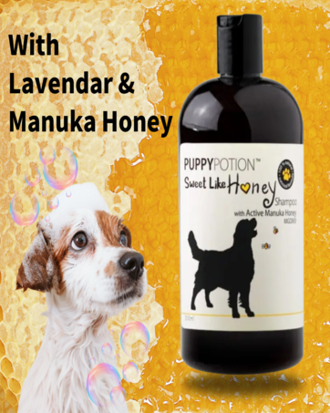【新品】PUPPY POTION 犬用シャンプー＆コンディショナー Amazon | [PUPPYPOTION] 犬用 シャンプー 天然成分100