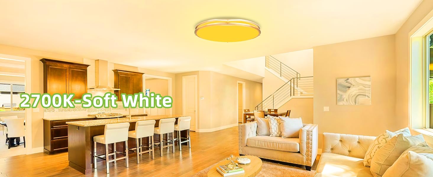 Flush Mount LED Ceiling Light Fixture