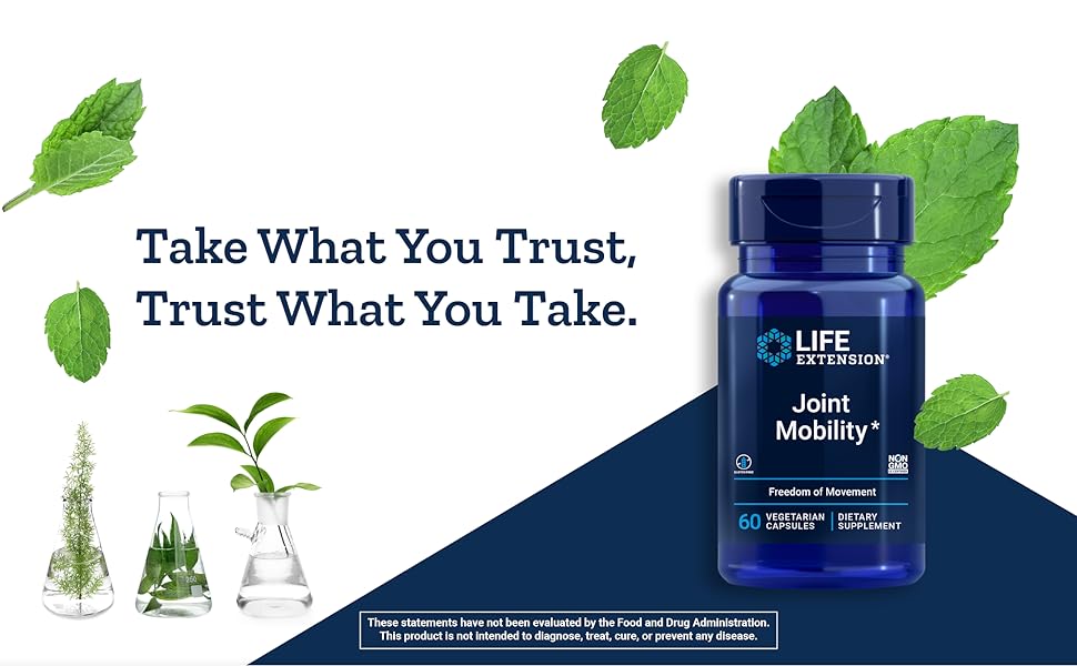 Life Extension Joint Mobility Tamaflex Joints Formula