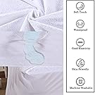 Dust Mite Protection