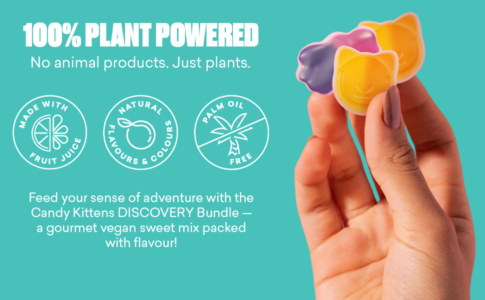 Large manufacture image 3