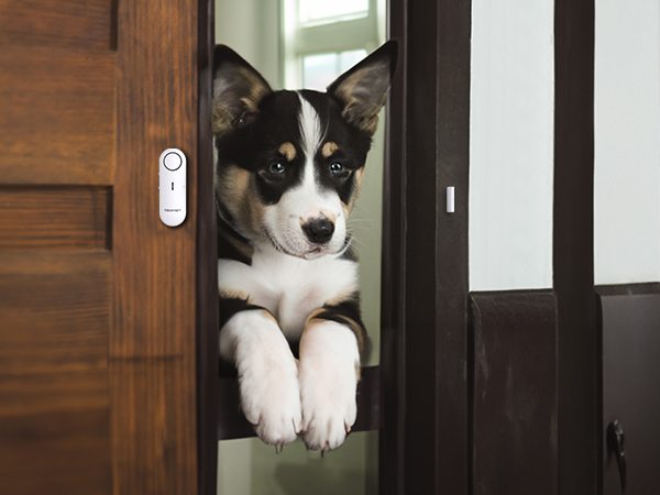 Alarm for Home Security