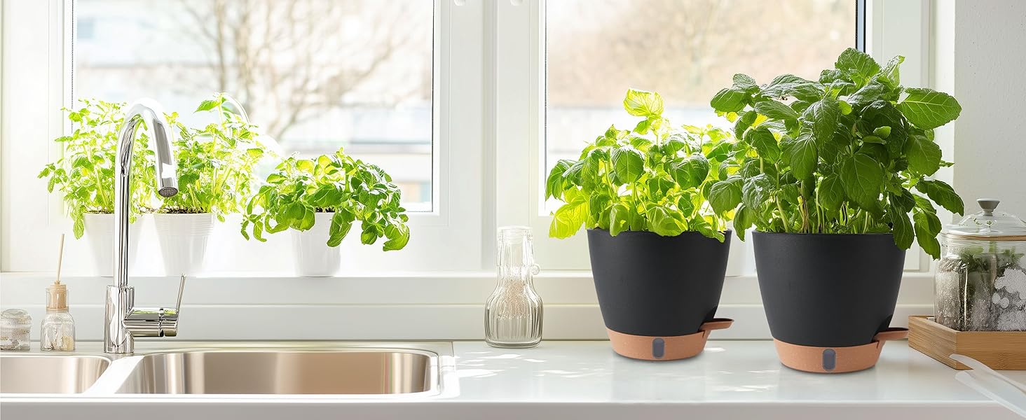 indoor plant pots with drainage