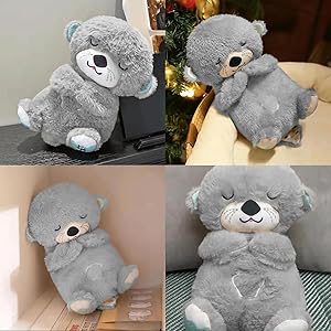 teddy