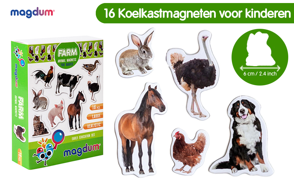 magnetische bouwstenen