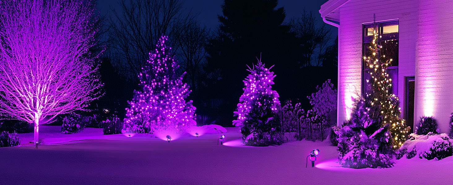 black light outdoor