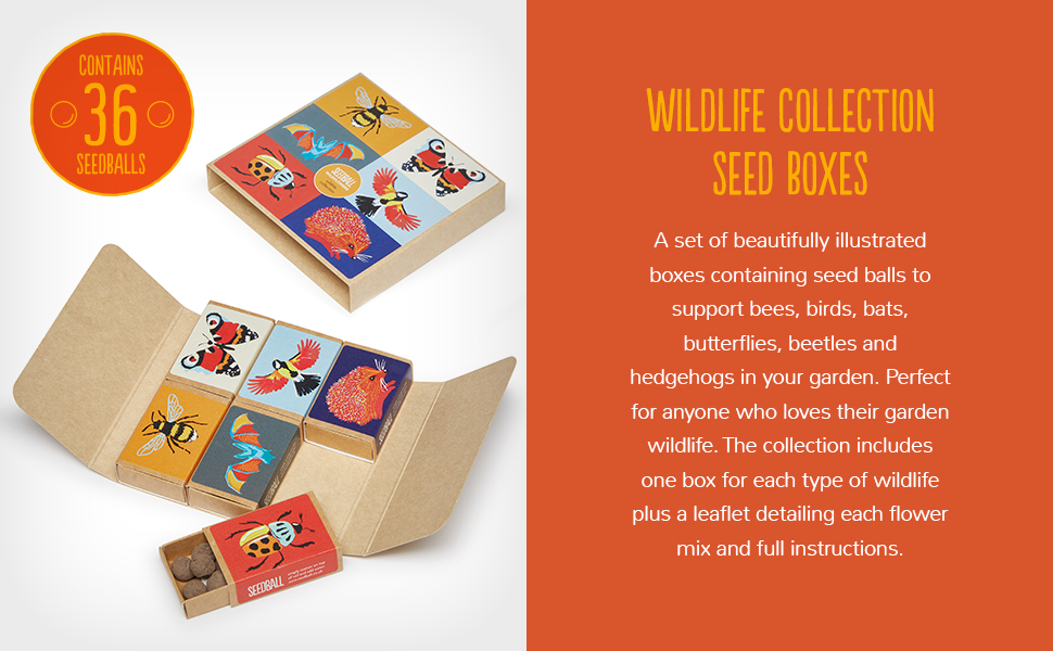 SEEDBALL Wild Flower Seed Bombs Wildlife Collection (6 Pack