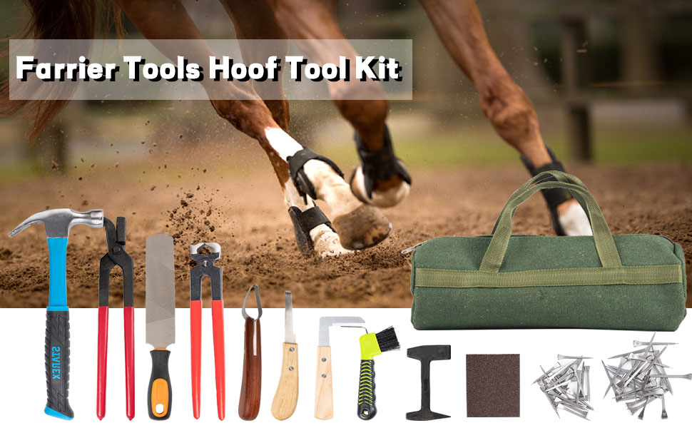 Horses Farrier Hoof Tool Kit 62Pcs Professional Horses