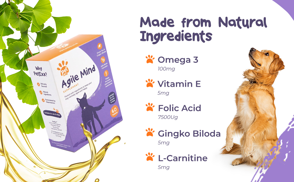 Folic Acid