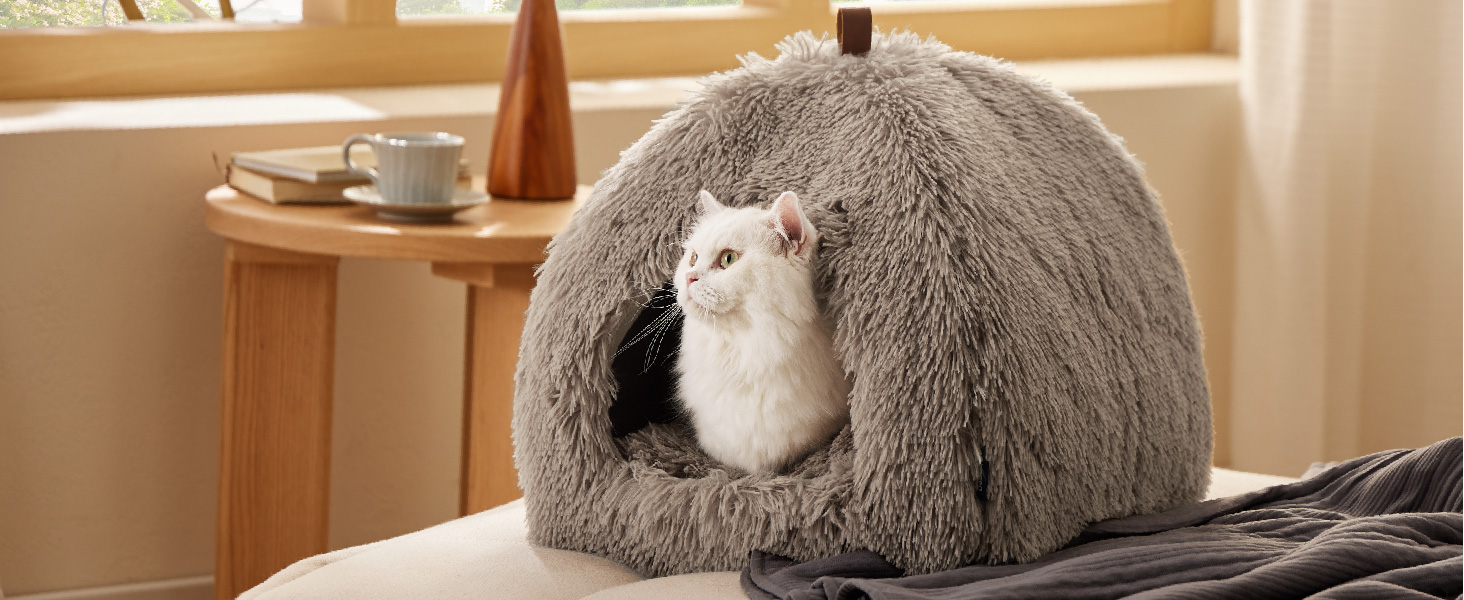 Kleiner weißer Hamster, der aus einem grauen kuppelförmigen Kuppelbett oder einer Höhle aus Plüsch herausschaut, was wie ein Bett oder eine Couch aussieht. Ein Beistelltisch mit Tasse, die im Hintergrund sichtbar ist.