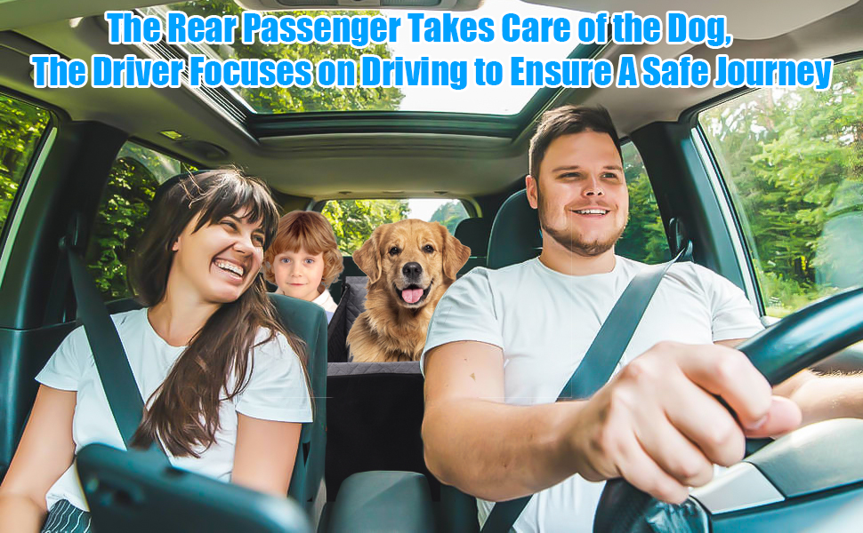 Passengers can sit next to dogs