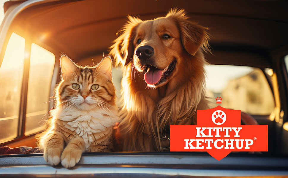 Pure Scottish Salmon Oil for Cats 500ml 100 Pure Natural Omega 3
