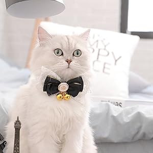 Hundehalsband mit Glöckchen