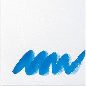 パステル画8号Ｆ Amazon.co.jp: ホルベイン パステルブック PAP-F8 139.5g 荒目