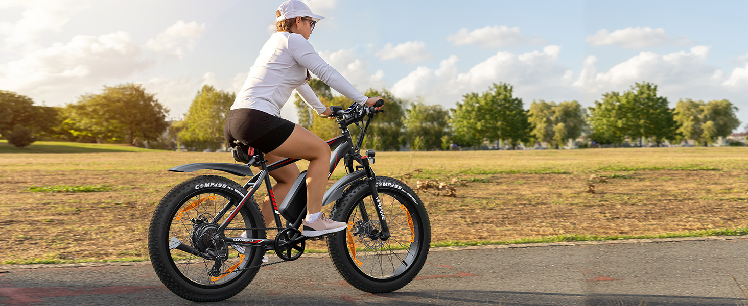 e fahrrad damen
