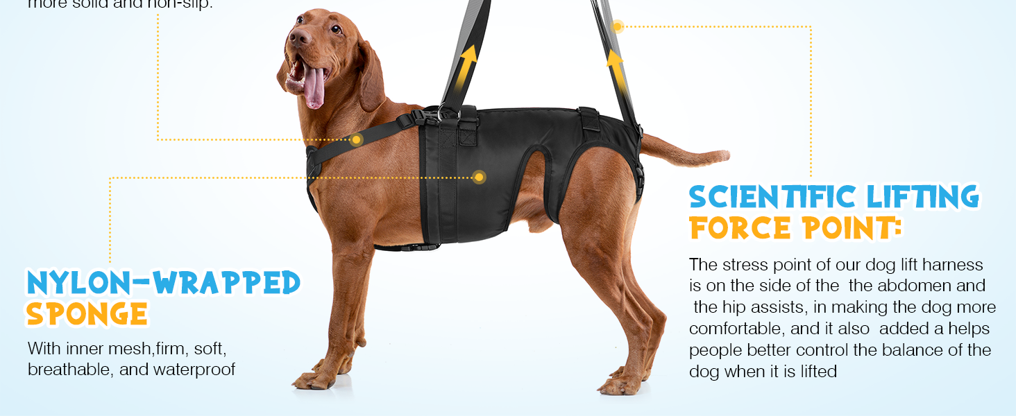 Dog Sling for Large Dogs Hind Leg