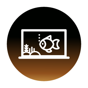 Azoo Plus fish tank aquarium nitrifying bacteria water conditioner ammonia nitrate remover