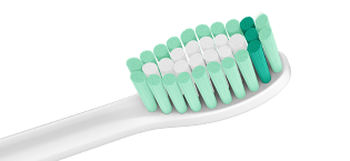 Toothbrush Heads