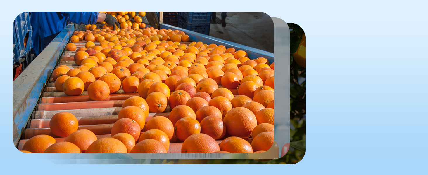 DIGITAL FRUIT HARDNESS TESTER