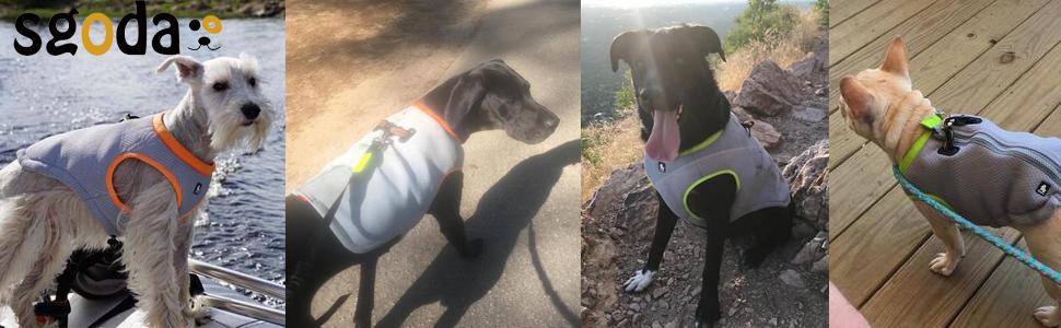 dog cooling vest