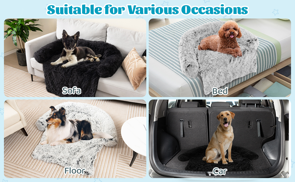 Dog Bed