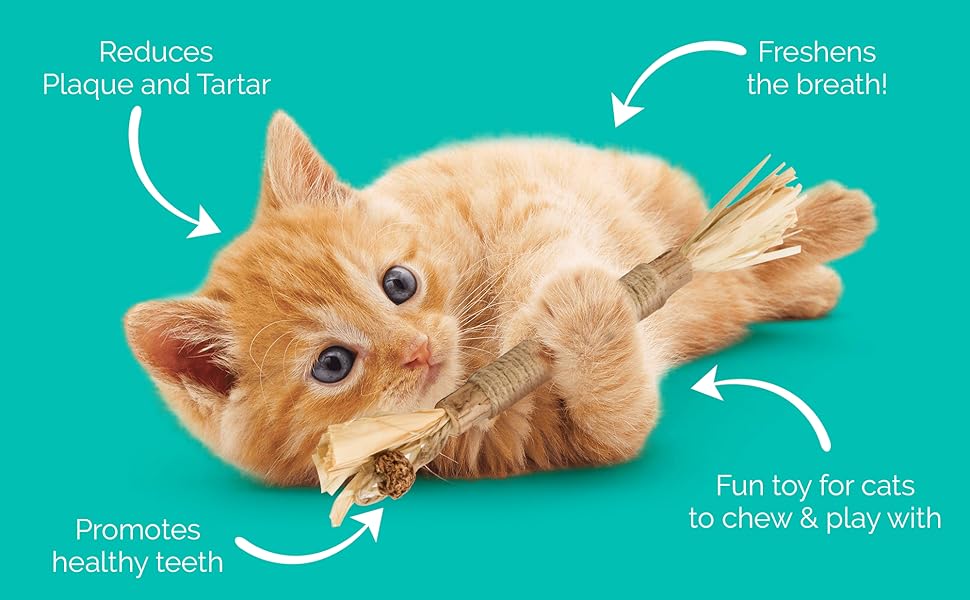 RYERCAT Silvervine Sticks for Cats AllNatural Cat Chew Toy for Aggressive Chewers, Kitten