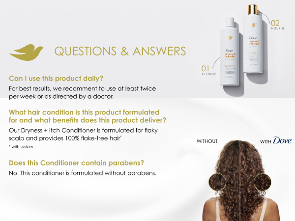 Questions & Answers.