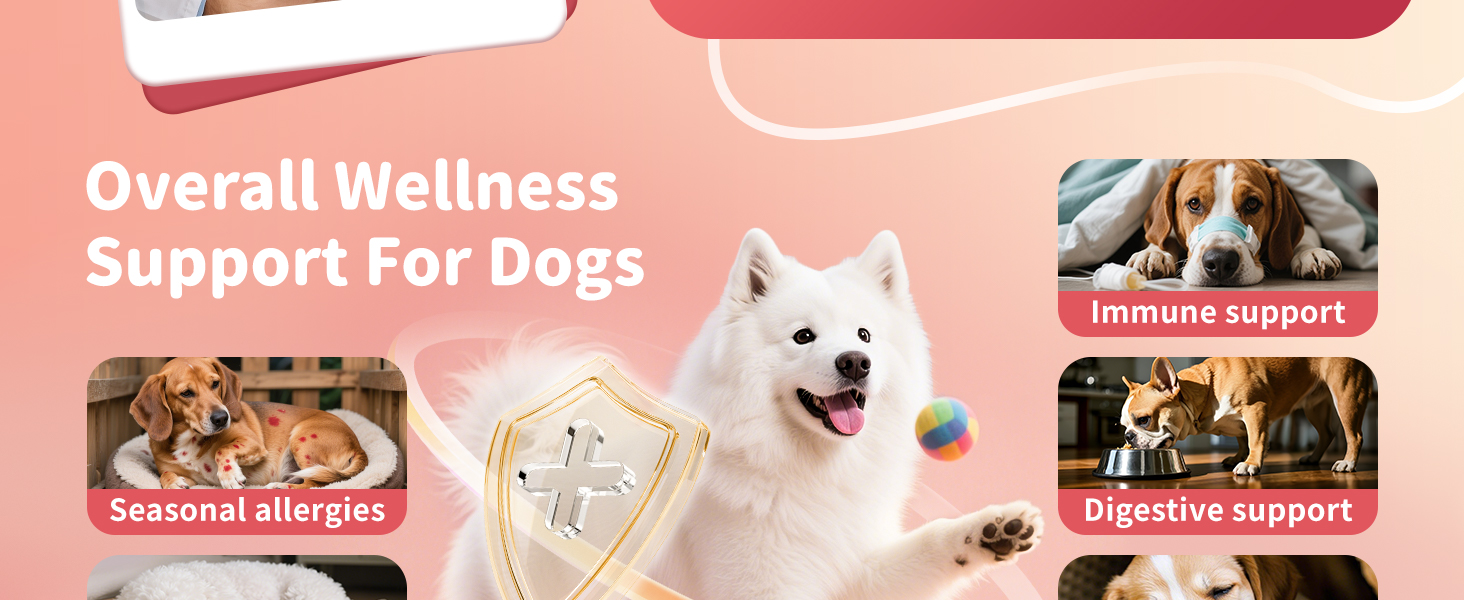 overall wellness support for dogs