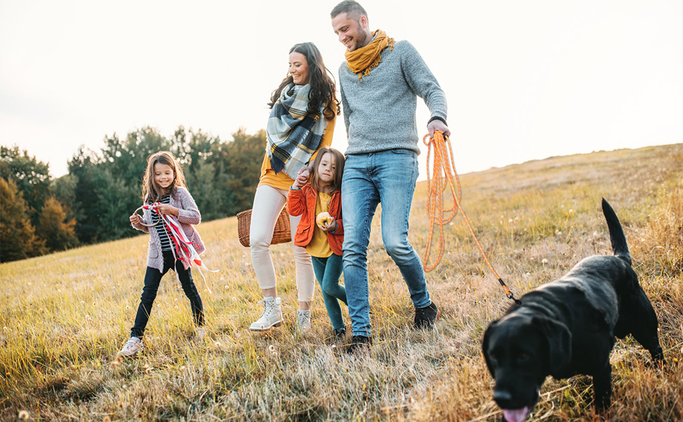 GNGNBH 10m Orange Long Dog Training Lead Training Lead with