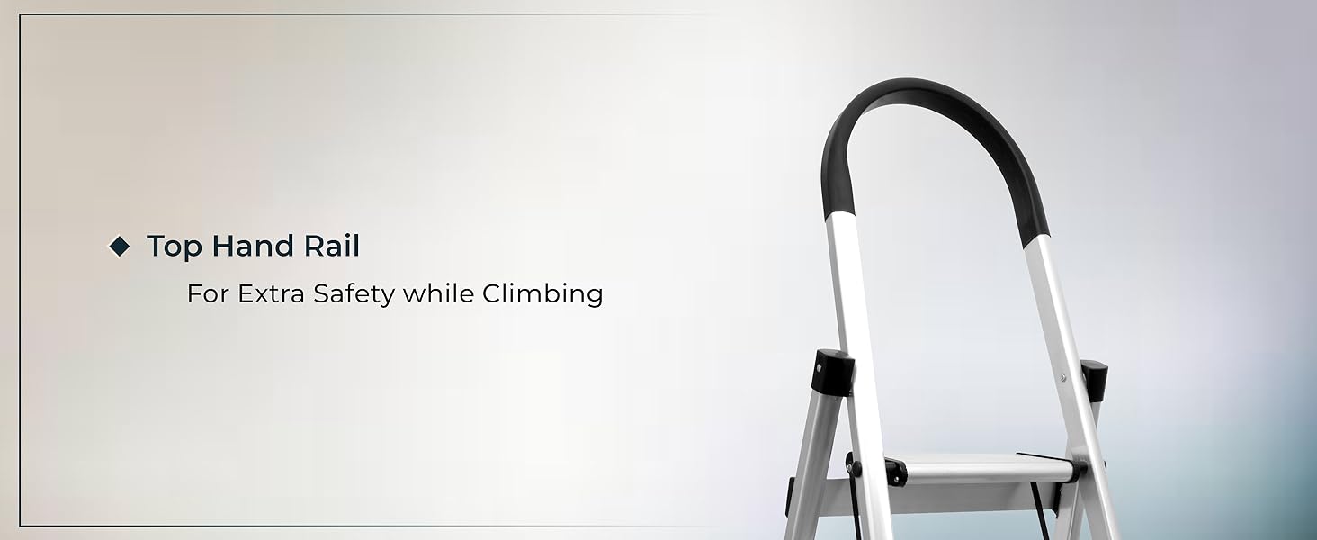 ladder with hand rail