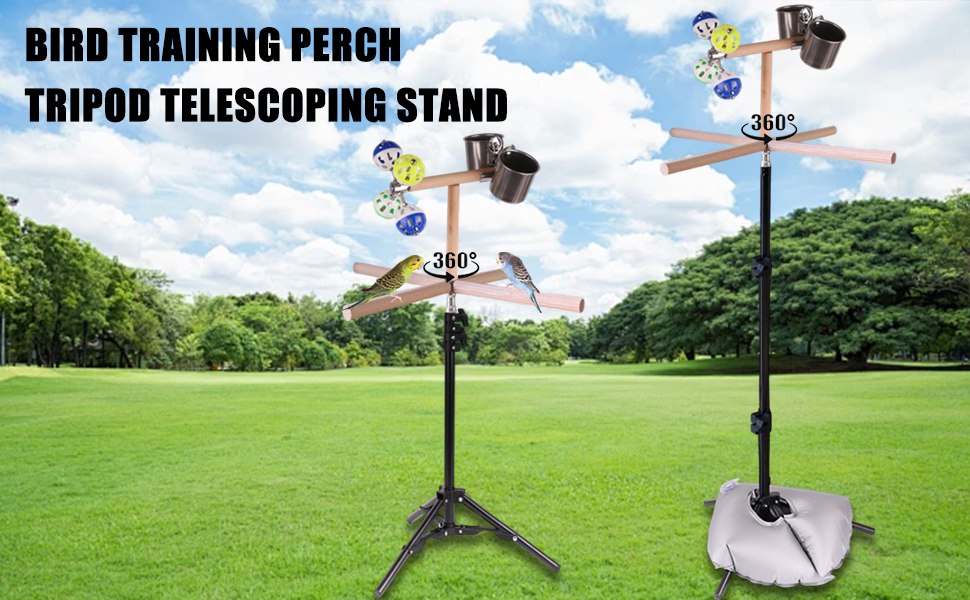 Bird Training T-Perch