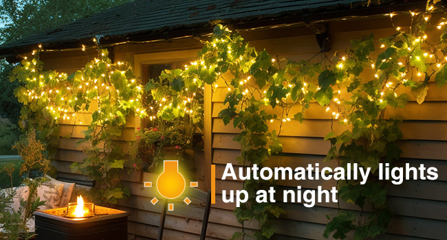 fairy solar lights