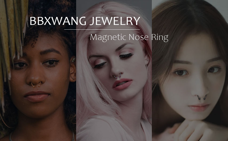 5Pcs Stainless Steel Nose Ring, Horseshoe Non Piercing Jewelry