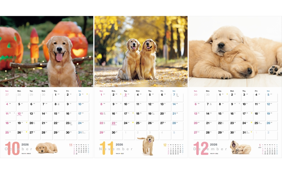 カレンダー2026 ゴールデン・レトリーバー（月めくり/壁掛け/犬