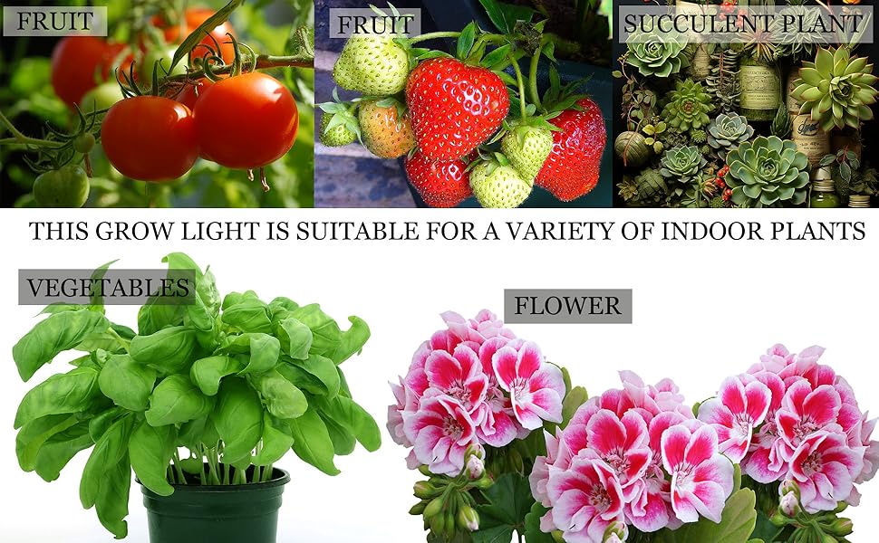 Grow Lights for Indoor Plants