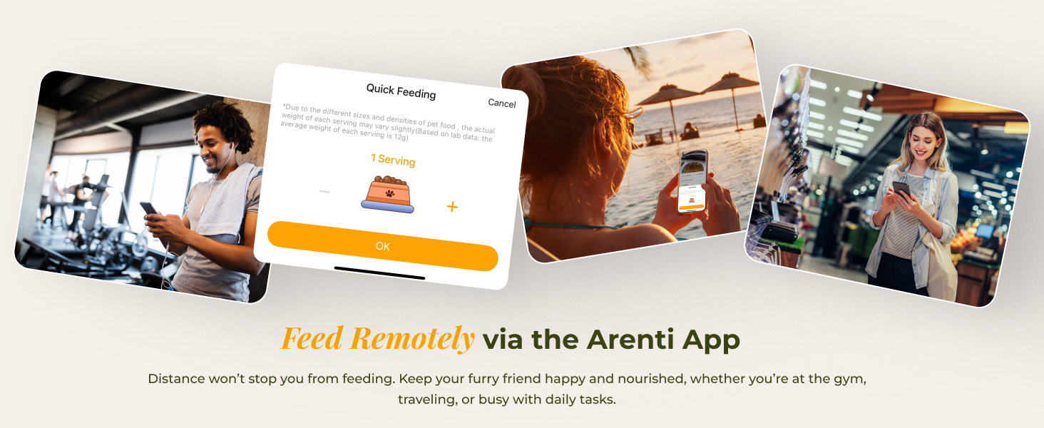 pet feeder automatic