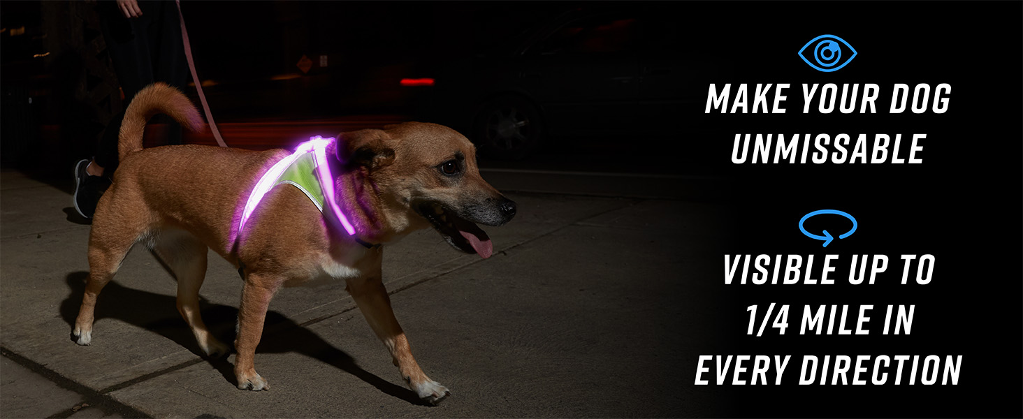 Noxgear | Lighthound - Make your Dog Unmissible, Visible Up to 1/4 mile in every directions