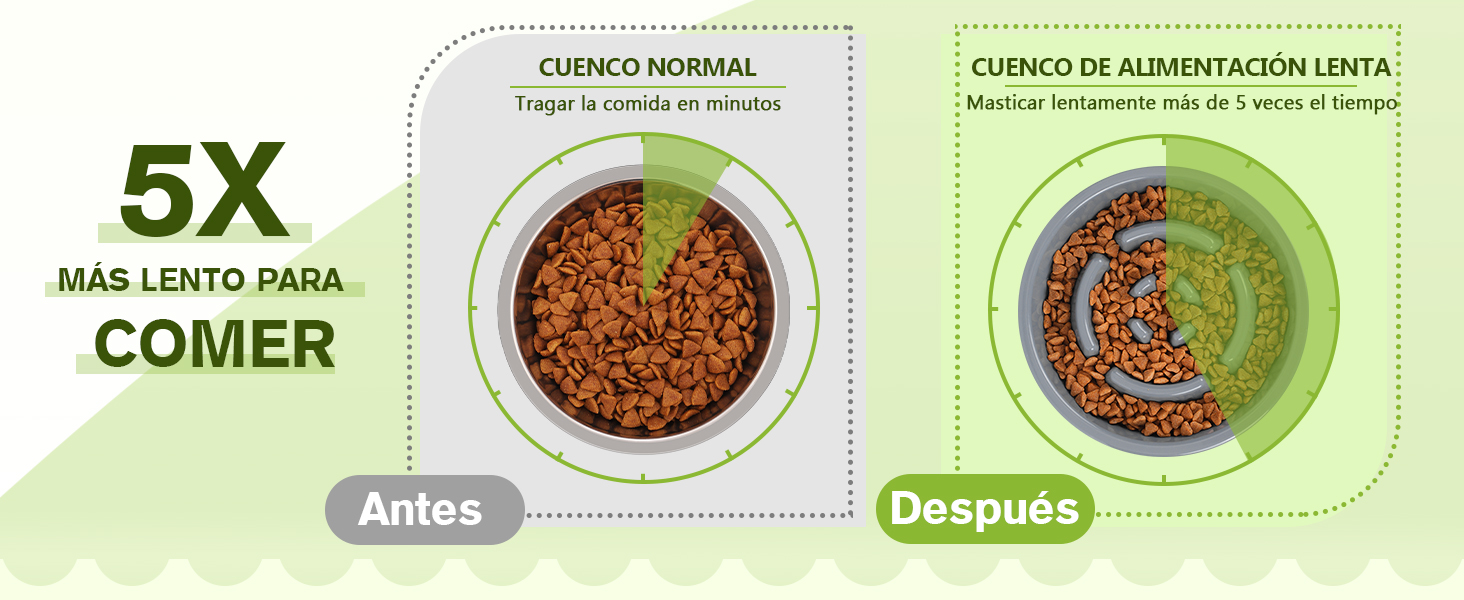 un diagrama que muestra los diferentes tipos de comida en un tazón
